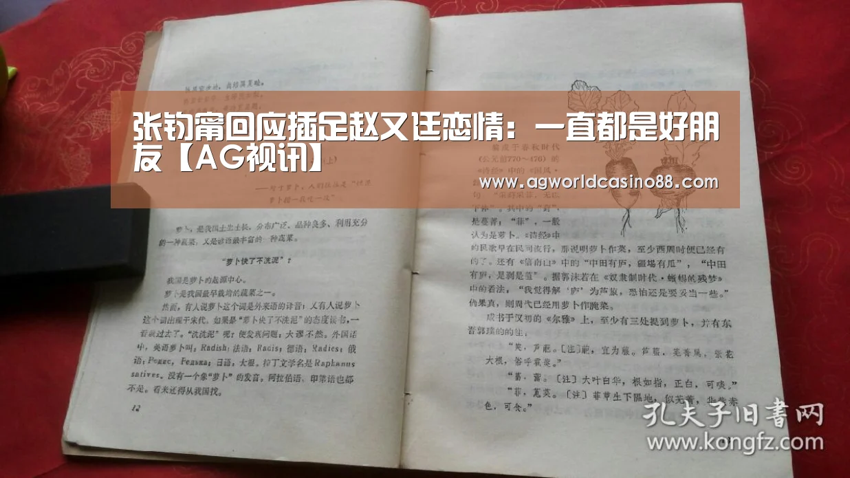 AG视讯