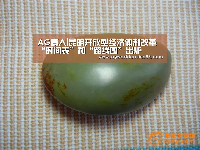 AG视讯